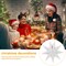 StaticPoster; 3Pcs Paper Star Lantern Lampshade 9 Pointed Star Hanging Decorations for Christmas New Year Wedding Party Holiday Birthday, 13.78 x 13.78 x 5.12 Inch; Category:Ceiling Decorations; Image:6